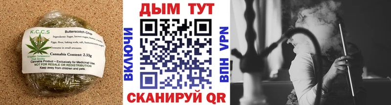 Купить закладки  Новоржев  Еда ТГК марихуана 