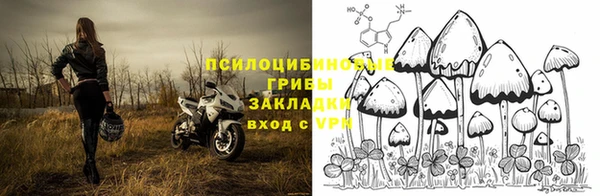 МДПВ Богданович