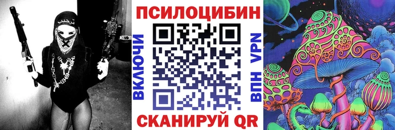 Купить закладки  Новоржев  Галлюциногенные грибы ЛСД 